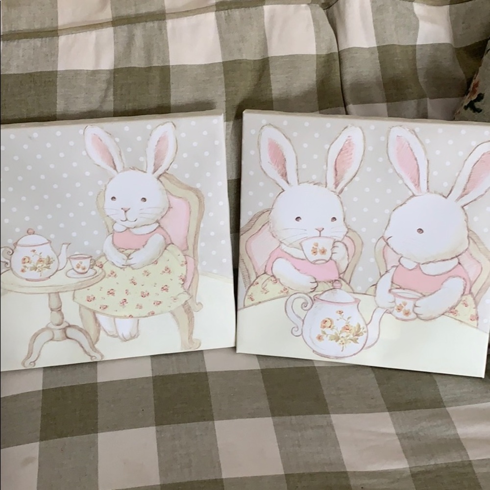 Bunny pictures